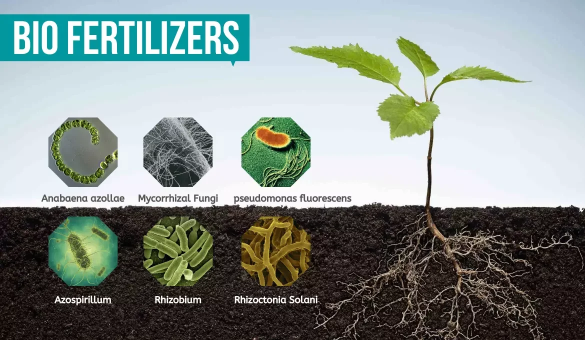 Biofertilizers